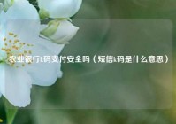 农业银行k码支付安全吗（短信k码是什么意思）