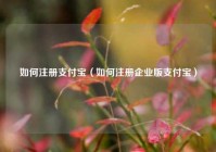 如何注册支付宝（如何注册企业版支付宝）