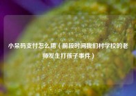 小呆码支付怎么用（前段时间我们村学校的老师发生打孩子事件）