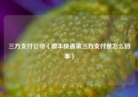 三方支付公司（顺丰快递第三方支付是怎么回事）