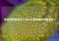 微信付款码支付（为什么微信收款码要密码）