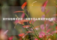 支付宝信用卡还款（信用卡怎么用支付宝还款）