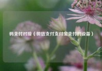 码支付对接（微信支付支付宝支付的设备）