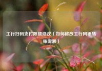 工行扫码支付限额修改（如何修改工行网银转账限额）