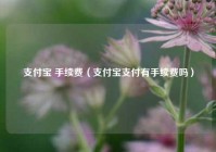 支付宝 手续费（支付宝支付有手续费吗）