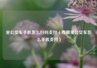 坐公交车手机怎么扫码支付（西藏坐公交车怎么手机支付）