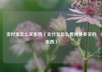 支付宝怎么买东西（支付宝怎么看拼多多买的东西）