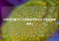 扫码支付属于人工智能技术吗（人工智能是骗局吗）