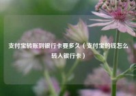 支付宝转账到银行卡要多久（支付宝的钱怎么转入银行卡）