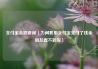 支付宝余额查询（为何我用支付宝支付了钱余额却查不到呢）