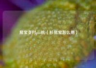 易宝支付pos机（杉易宝怎么用）