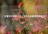 乐富支付有限公司（为什么乐富支付牌照）