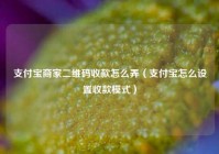 支付宝商家二维码收款怎么弄（支付宝怎么设置收款模式）