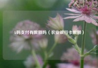 k码支付有限额吗（农业银行卡限额）