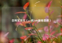 合利宝支付（pos机5606是啥意思）