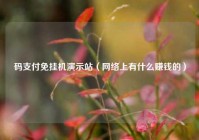 码支付免挂机演示站（网络上有什么赚钱的）