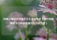 识别二维码支付属于什么支付方式（支付宝账单显示扫码收款是什么付款方式）