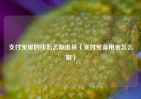 支付宝里的钱怎么取出来（支付宝备用金怎么取）