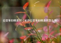 公交车扫码支付（长沙公交车扫码支付怎么用）