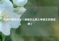 如何办理支付宝（湖南怎么网上申请无犯罪证明）