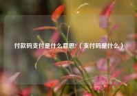 付款码支付是什么意思?（支付码是什么）