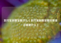 支付宝余额宝是什么（支付宝余额宝里的基金详情是什么）