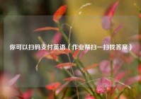 你可以扫码支付英语（作业帮扫一扫找答案）