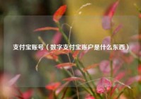 支付宝账号（数字支付宝账户是什么东西）