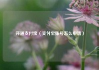 开通支付宝（支付宝账号怎么申请）