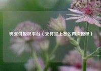 码支付授权平台（支付宝上怎么再次授权）