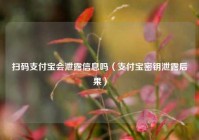 扫码支付宝会泄露信息吗（支付宝密钥泄露后果）