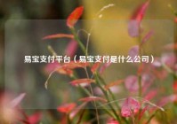 易宝支付平台（易宝支付是什么公司）