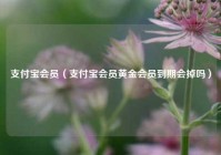 支付宝会员（支付宝会员黄金会员到期会掉吗）