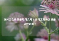 支付宝会员日是每月几号（支付宝时分数据是做什么的）