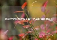 码支付免挂机教程（有什么项目值得推荐）