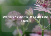 微信扫码支付可以退款吗（拼多多可以退款到该微信吗）