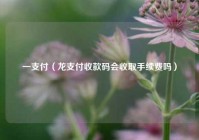 一支付（龙支付收款码会收取手续费吗）