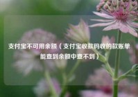 支付宝不可用余额（支付宝收款码收的款账单能查到余额中查不到）