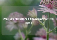 农行k码支付限额修改（怎样取消农业银行的K码签）