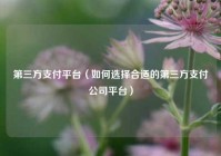 第三方支付平台（如何选择合适的第三方支付公司平台）