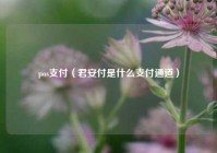 pos支付（君安付是什么支付通道）