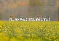 网上支付网站（闪支付是什么平台）