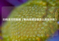 扫码支付控制器（斯玛莱滴定泵怎么连接手机）