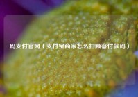 码支付官网（支付宝商家怎么扫顾客付款码）