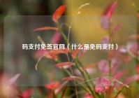 码支付免签官网（什么是免码支付）