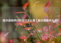 哈尔滨地铁扫码支付怎么用（哈尔滨地铁几点）