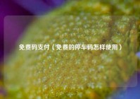 免费码支付（免费的停车码怎样使用）