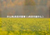 什么叫k码支付管理（k码支付是什么）