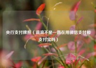 央行支付牌照（滴滴不是一直在用微信支付和支付宝吗）