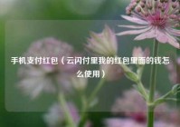 手机支付红包（云闪付里我的红包里面的钱怎么使用）